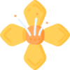 乐鱼体育 logo